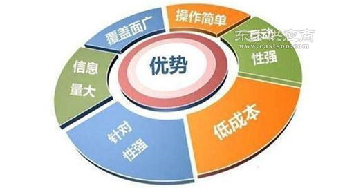 互聯(lián)網(wǎng)推廣渠道概覽與技術咨詢服務