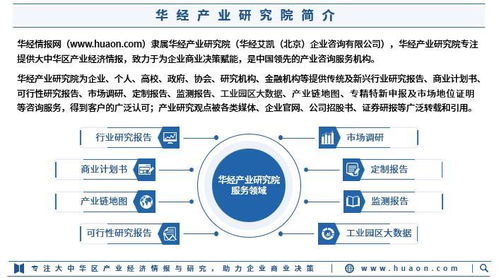 2025年中國自主智能體機器人技術行業(yè)市場深度分析及投資戰(zhàn)略咨詢報告